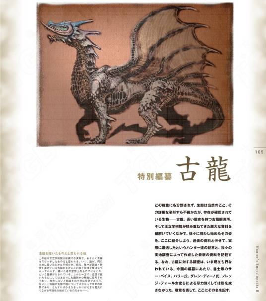 冰冻宝珠：揭示其无与伦比功效与使用技巧