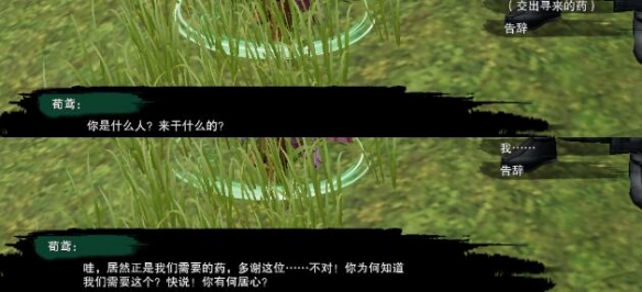 闪克2全攻略：详细解析与实用技巧