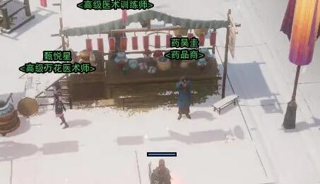 加勒比海盗攻略秘籍：畅游海盗世界的终极指南