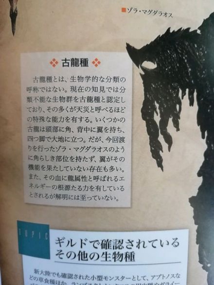 高效选矿技术解析：精准开采流程与实用技巧